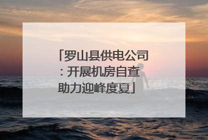 罗山县供电公司：开展机房自查 助力迎峰度夏