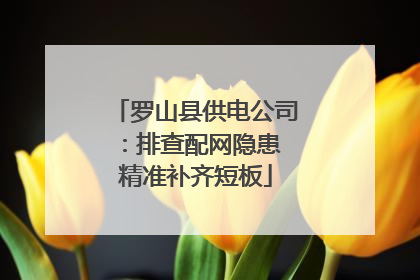 罗山县供电公司：排查配网隐患 精准补齐短板