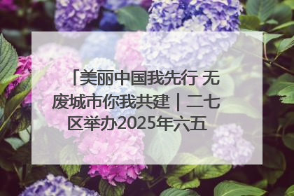 美丽中国我先行 无废城市你我共建｜二七区举办2025年六五环境日主题宣传活动