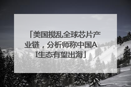 美国搅乱全球芯片产业链，分析师称中国AI生态有望出海