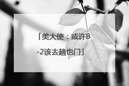 美大使：或许B-2该去趟也门