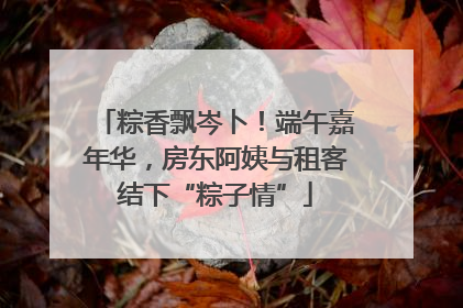 粽香飘岑卜！端午嘉年华，房东阿姨与租客结下“粽子情”