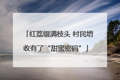 红荔缀满枝头 村民增收有了“甜蜜密码”