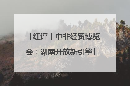红评丨中非经贸博览会：湖南开放新引擎
