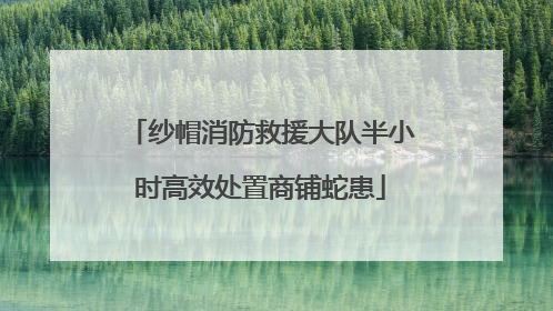 纱帽消防救援大队半小时高效处置商铺蛇患