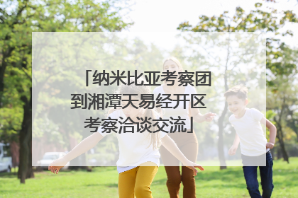 纳米比亚考察团到湘潭天易经开区考察洽谈交流