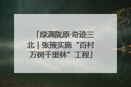 绿满陇原·奇迹三北｜张掖实施“百村万树千里林”工程