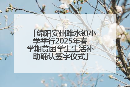 绵阳安州雎水镇小学举行2025年春学期贫困学生生活补助确认签字仪式