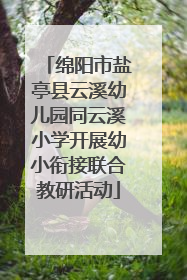 绵阳市盐亭县云溪幼儿园同云溪小学开展幼小衔接联合教研活动