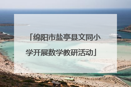 绵阳市盐亭县文同小学开展数学教研活动
