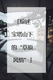 综述：宝塔山下的“草原风情”