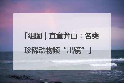 组图｜宜章莽山：各类珍稀动物频“出镜”