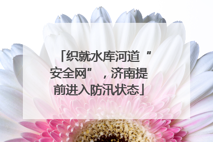 织就水库河道“安全网”，济南提前进入防汛状态