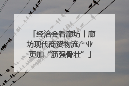 经洽会看廊坊丨廊坊现代商贸物流产业更加“筋强骨壮”