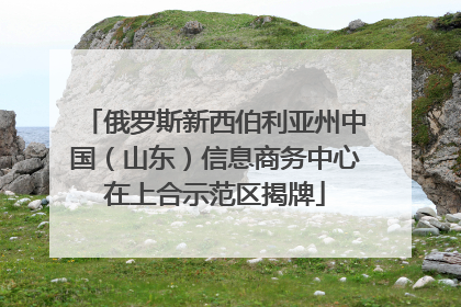 俄罗斯新西伯利亚州中国（山东）信息商务中心在上合示范区揭牌