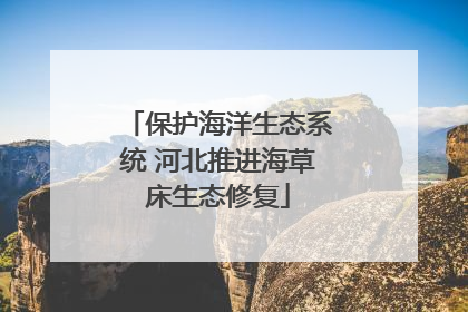 保护海洋生态系统 河北推进海草床生态修复
