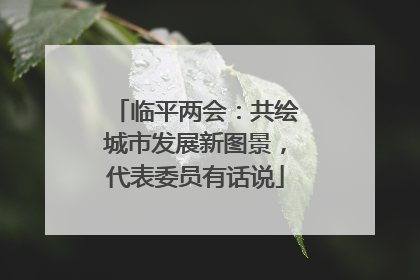 临平两会：共绘城市发展新图景，代表委员有话说