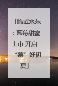 临武水东：蓝莓甜蜜上市 开启“莓”好初夏