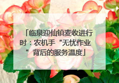 临泉迎仙镇麦收进行时：农机手“无忧作业”背后的服务温度