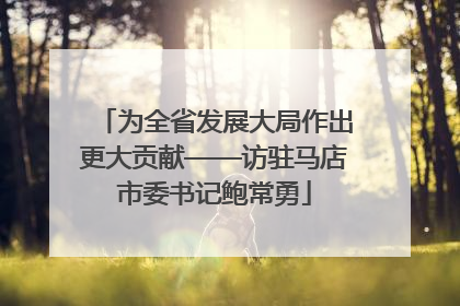 为全省发展大局作出更大贡献——访驻马店市委书记鲍常勇