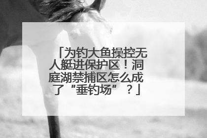 为钓大鱼操控无人艇进保护区！洞庭湖禁捕区怎么成了“垂钓场”？