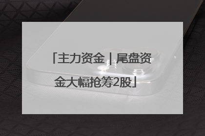 主力资金｜尾盘资金大幅抢筹2股