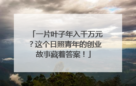 一片叶子年入千万元？这个日照青年的创业故事藏着答案！