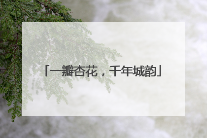 一瓣杏花，千年城韵