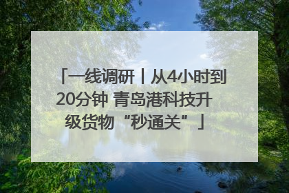 一线调研丨从4小时到20分钟 青岛港科技升级货物“秒通关”