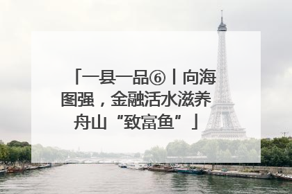 一县一品⑥丨向海图强，金融活水滋养舟山“致富鱼”