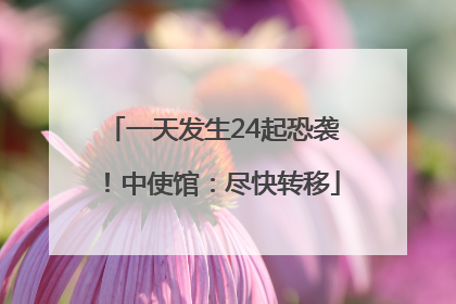 一天发生24起恐袭！中使馆：尽快转移