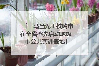 一马当先！铁岭市在全省率先启动地级市公共实训基地