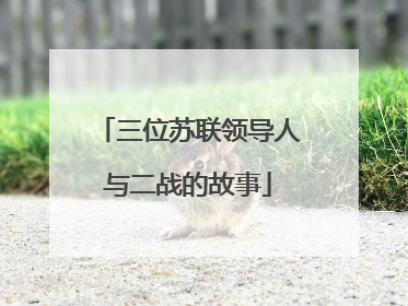 三位苏联领导人与二战的故事