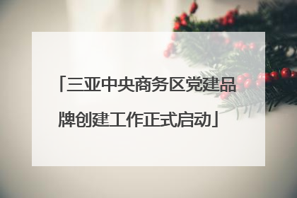 三亚中央商务区党建品牌创建工作正式启动