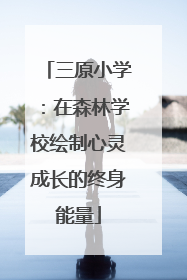 三原小学：在森林学校绘制心灵成长的终身能量