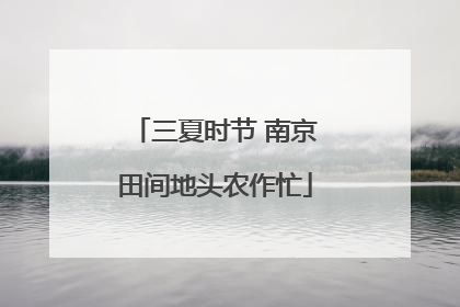 三夏时节 南京田间地头农作忙