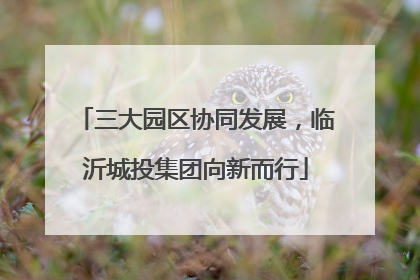三大园区协同发展，临沂城投集团向新而行