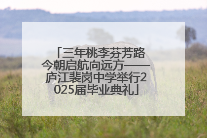 三年桃李芬芳路 今朝启航向远方——庐江裴岗中学举行2025届毕业典礼