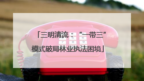 三明清流：“一带三”模式破局林业执法困境