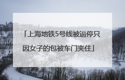 上海地铁5号线被逼停只因女子的包被车门夹住