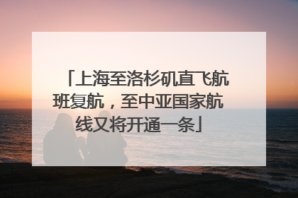 上海至洛杉矶直飞航班复航，至中亚国家航线又将开通一条