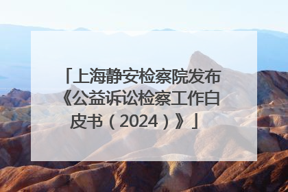 上海静安检察院发布《公益诉讼检察工作白皮书（2024）》