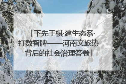 下先手棋·建生态系·打数智牌——河南文旅热背后的社会治理答卷