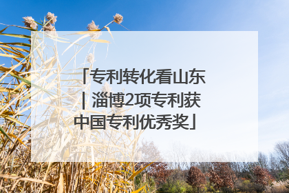 专利转化看山东｜淄博2项专利获中国专利优秀奖