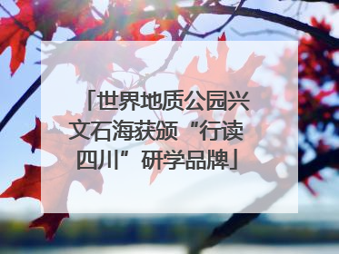 世界地质公园兴文石海获颁“行读四川”研学品牌