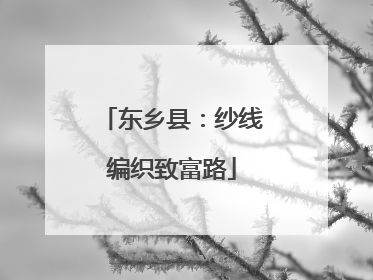 东乡县：纱线编织致富路