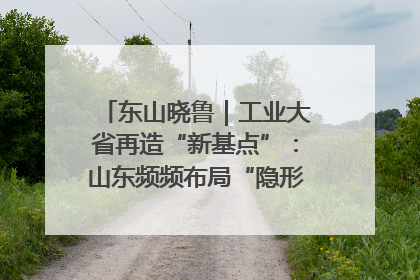 东山晓鲁｜工业大省再造“新基点”：山东频频布局“隐形冠军”背后