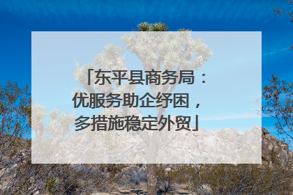 东平县商务局：优服务助企纾困，多措施稳定外贸