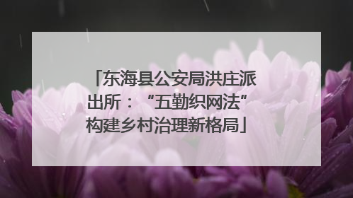 东海县公安局洪庄派出所：“五勤织网法”构建乡村治理新格局
