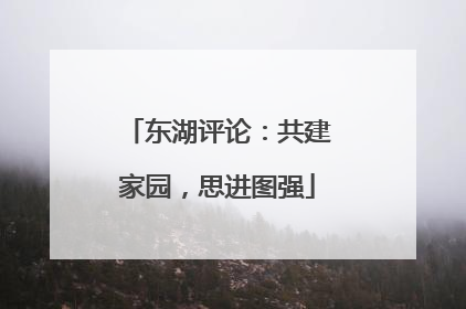 东湖评论：共建家园，思进图强
